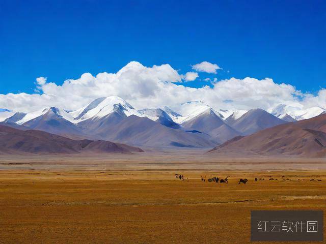 可可西里美丽传说，自然与信仰的圣洁之地