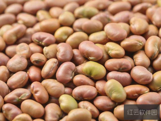 麻豆精产国品一二三产区别解析，产业分类与发展路径